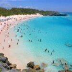 A crowded beach with pink sand and turquoise waters in Bermuda, filled with people enjoying the sun and ocean.