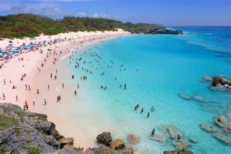 A crowded beach with pink sand and turquoise waters in Bermuda, filled with people enjoying the sun and ocean.