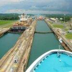 A cruise ship navigating through the Panama Canal, showcasing the intricate lock system and lush surrounding landscape.