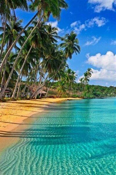 Tropical beach with crystal clear turquoise water and tall palm trees under a bright blue sky.