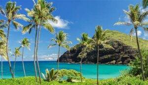 Tropical beach with palm trees, turquoise water, and a lush green mountain in the background under a clear blue sky.