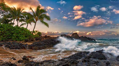 Dramatic tropical coastline with palm trees, crashing waves, and a colorful sky at sunset.