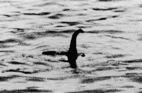 Grainy black-and-white photo of a mysterious creature with a long neck emerging from the water, often associated with the Loch Ness Monster.