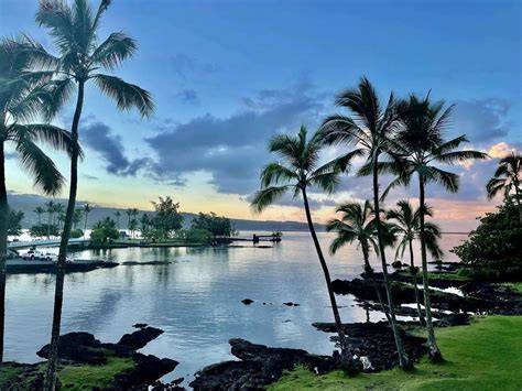 Scenic view of a tropical garden with a pond, lush greenery, vibrant flowers, and a sunset sky.