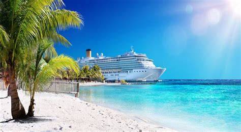 Cruise ship docked near a tropical beach with palm trees and clear blue water