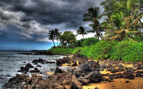 Tropical coastline with lush greenery and palm trees, rocky shoreline, and dramatic cloudy sky.