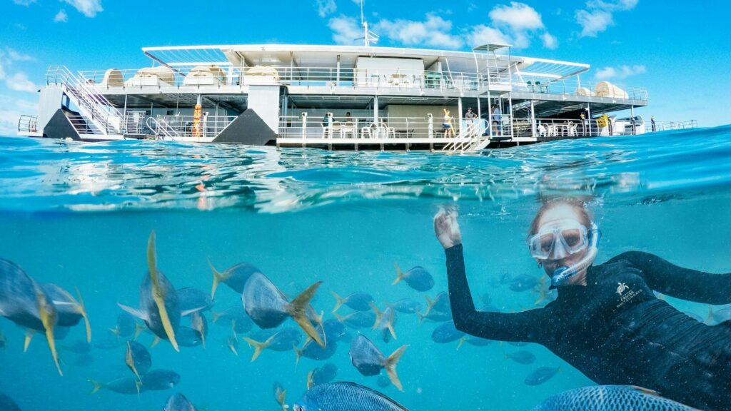 CWS Experiences Great Barrier Reef Adventure 172 1 1024x576