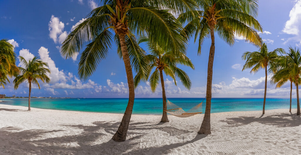 DSC3973 Pano Recovered Copy 1024x527