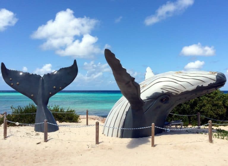 Turks And Caicos Islands Grand Turk Humpback Whale Monument 768x560 1